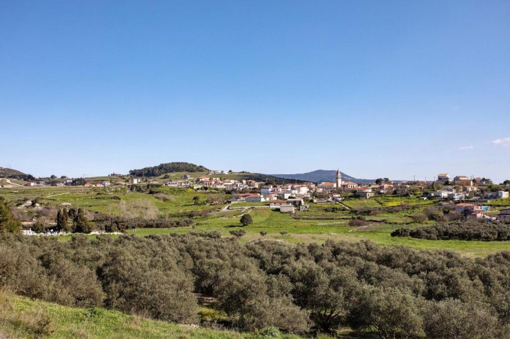Surroundings